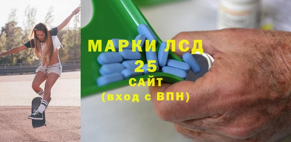 дживик Богородск