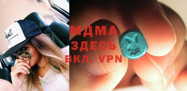 дживик Богородск