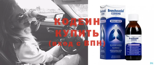 спиды Богданович