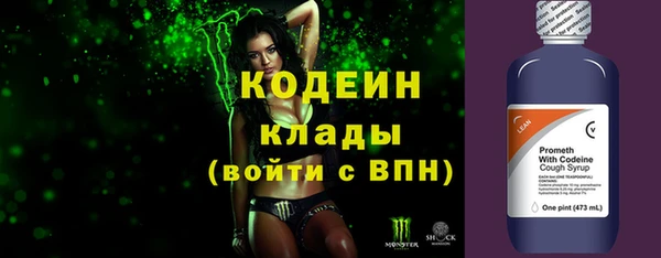 спиды Богданович