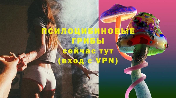 спиды Богданович