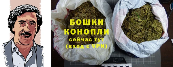 спиды Богданович