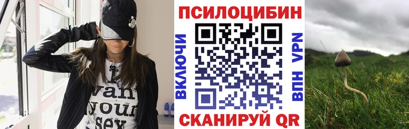 Галлюциногенные грибы GOLDEN TEACHER  Тверь 